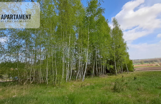 Działka z widokiem na jezioro - MPZP
