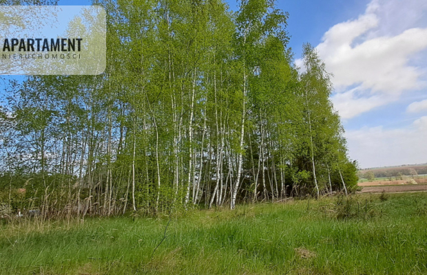 Działka z widokiem na jezioro - MPZP