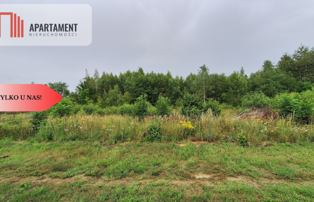 Działka budowlana pod lasem- Dolnik