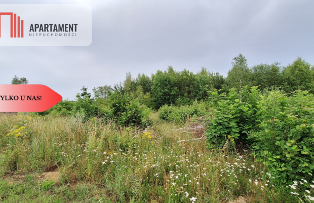 Działka budowlana pod lasem- Dolnik