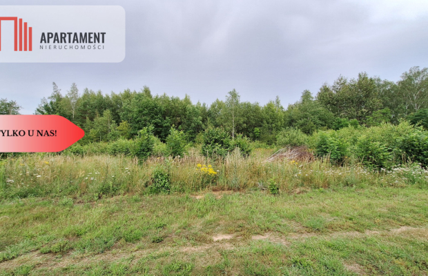 Działka budowlana pod lasem- Dolnik