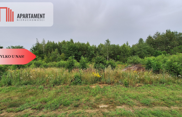 Działka budowlana pod lasem- Dolnik