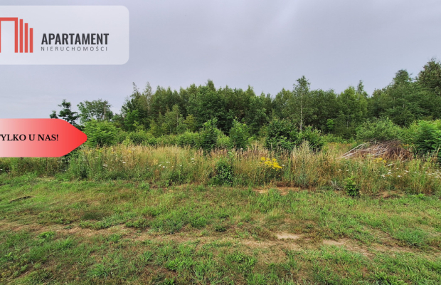 Działka budowlana pod lasem- Dolnik