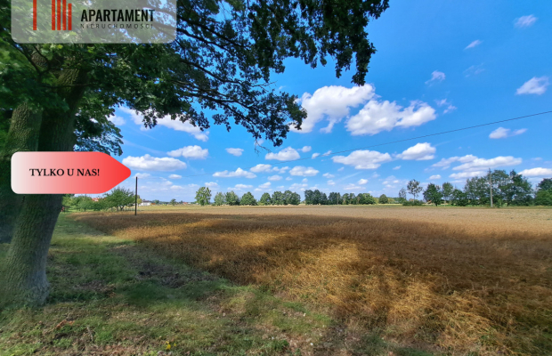 Działka z WZ / Małe Rudy