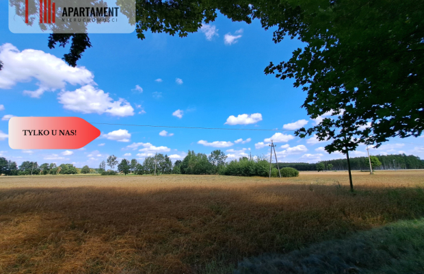 Działka z WZ / Małe Rudy