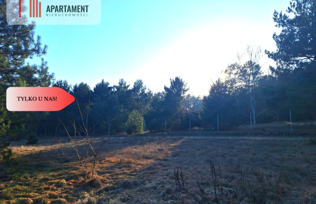 Działki 1385 m² i 1926 m² w leśnej otulinie z WZ