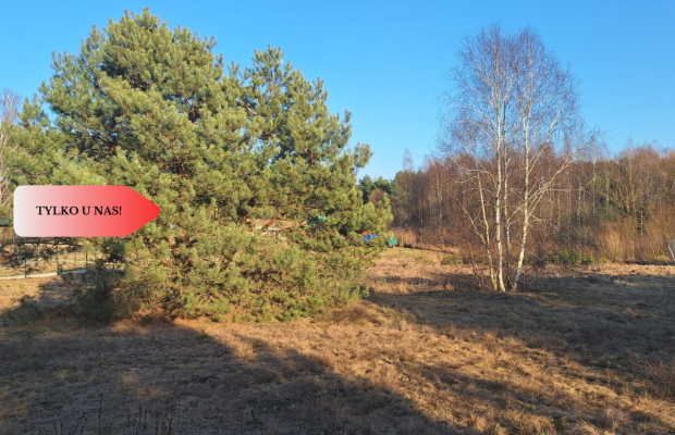 Działki 1385 m² i 1926 m² w leśnej otulinie z WZ