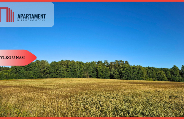 Budowlane 112zł/m2 Nekla niedaleko Jeziora Borówno