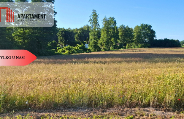 Budowlane 112zł/m2 Nekla niedaleko Jeziora Borówno