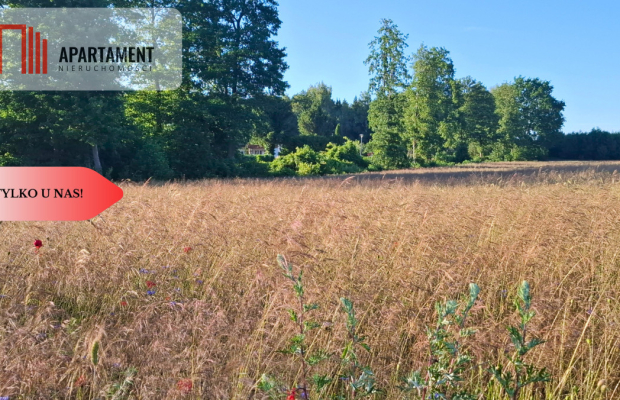 Budowlane 112zł/m2 Nekla niedaleko Jeziora Borówno