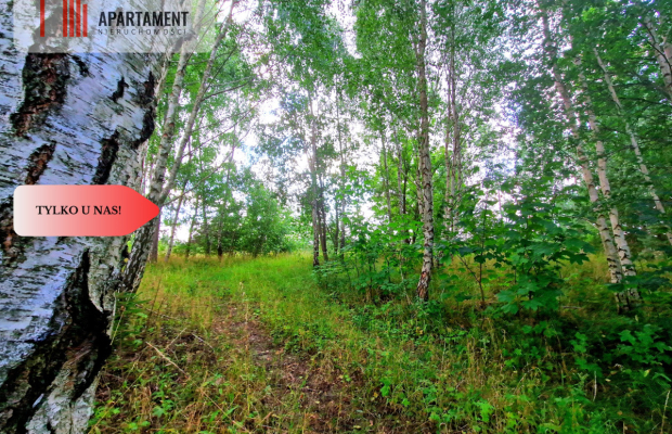 Tylko u Nas! Duża działka usługowo-mieszkalna!