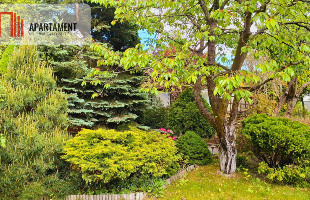 Tylko u nas! Działka ROD  – dobra cena !!!