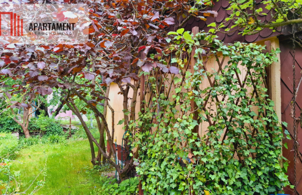 Tylko u nas! Działka ROD  – dobra cena !!!