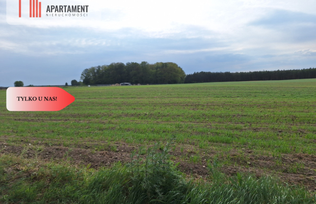 Działka pod inwestycję /Blisko drogi 3