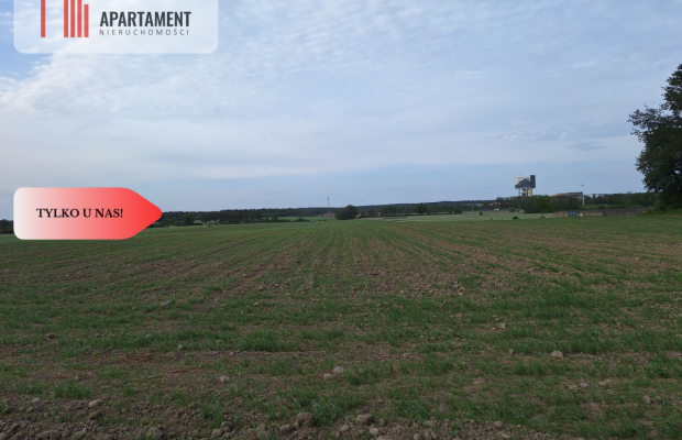 Działka pod inwestycję /Blisko drogi 3