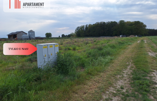 Działka pod inwestycję /Blisko drogi 3