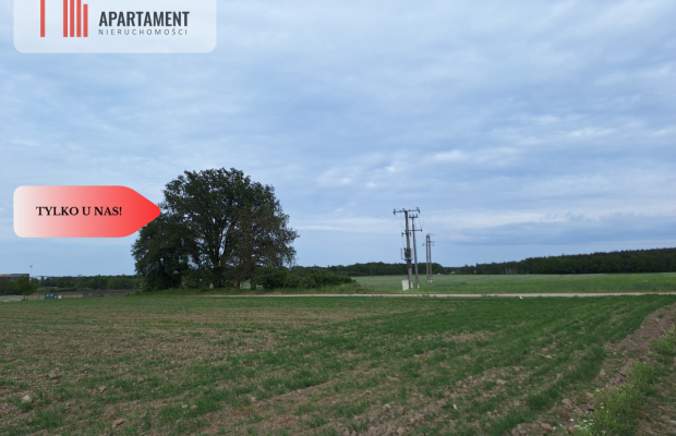 Działka pod inwestycję /Blisko drogi 3