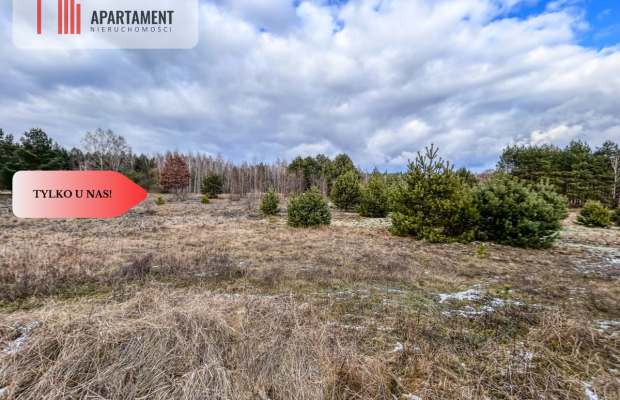 Tylko u nas! Działka 3229m² Krąplewice przy lesie
