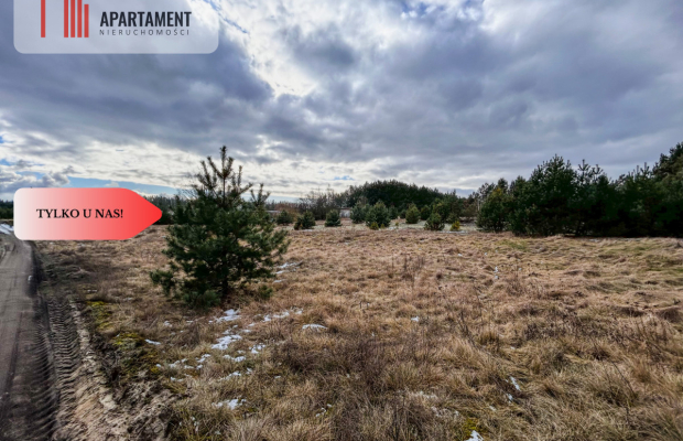 Tylko u nas! Działka 3229m² Krąplewice przy lesie