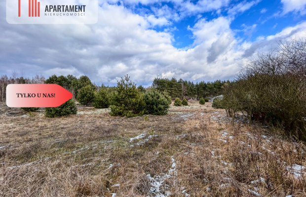 Tylko u nas! Działka 3229m² Krąplewice przy lesie