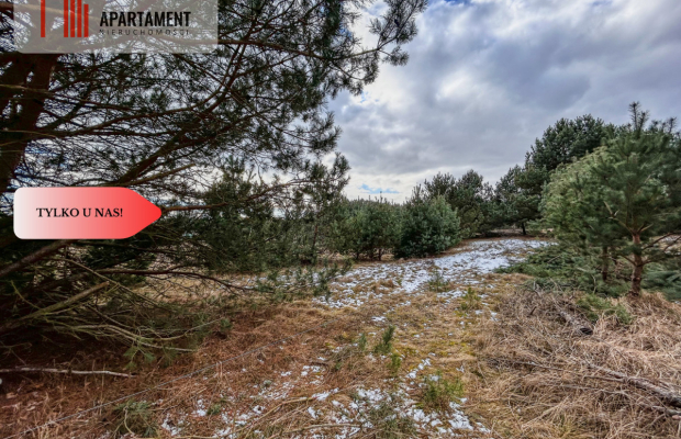 Tylko u nas! Działka 3229m² Krąplewice przy lesie