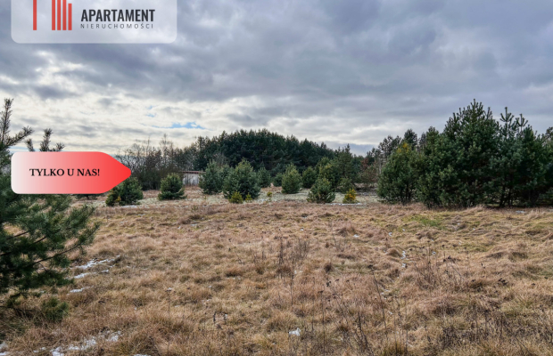 Tylko u nas! Działka 3229m² Krąplewice przy lesie