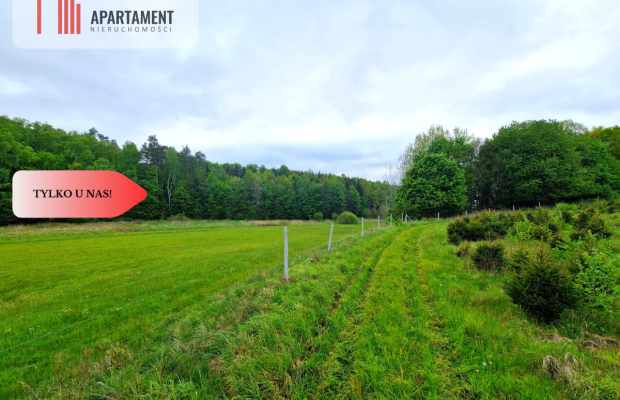 Działki w Miradowie. Promocja