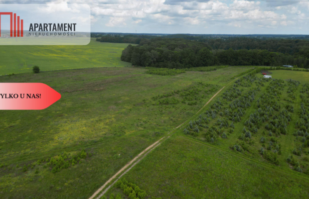 Działki w Miradowie. Promocja