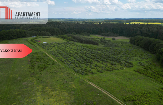 Działki w Miradowie. Promocja