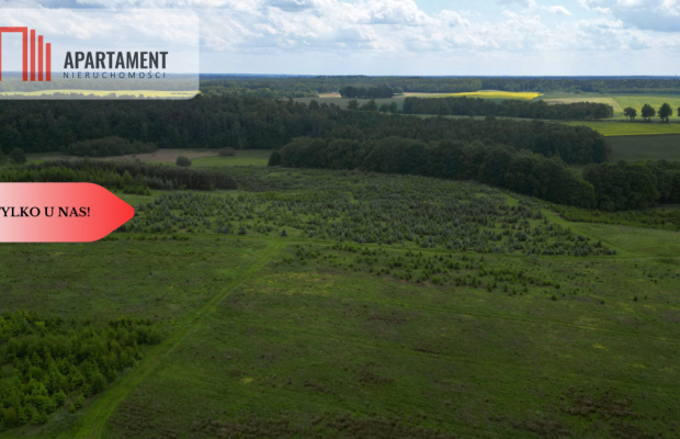 Działki w Miradowie. Promocja