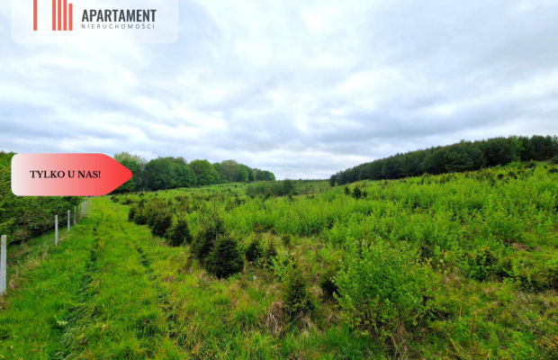 Działki w Miradowie. Promocja