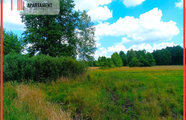 Pięknie położona duża działka w Sarnowie