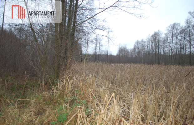 Pięknie położona duża działka w Sarnowie