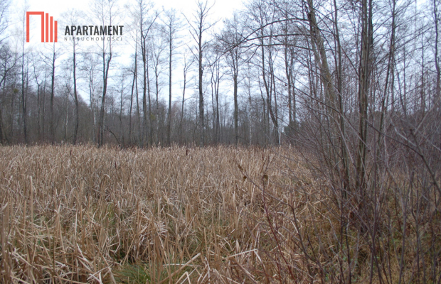 Pięknie położona duża działka w Sarnowie