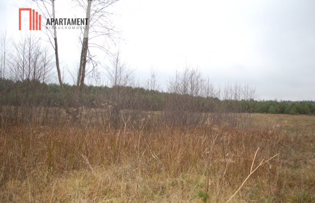 Pięknie położona duża działka w Sarnowie
