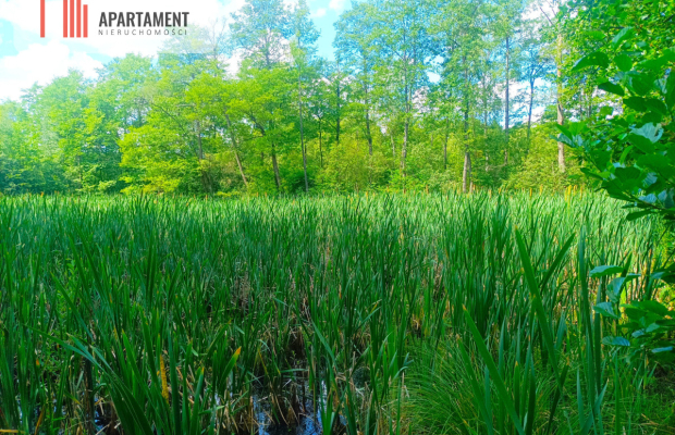 Pięknie położona duża działka w Sarnowie