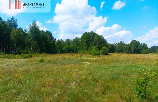 Pięknie położona duża działka w Sarnowie