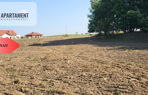 Działki z projektem WZ