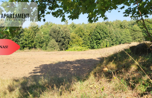 Działki z projektem WZ