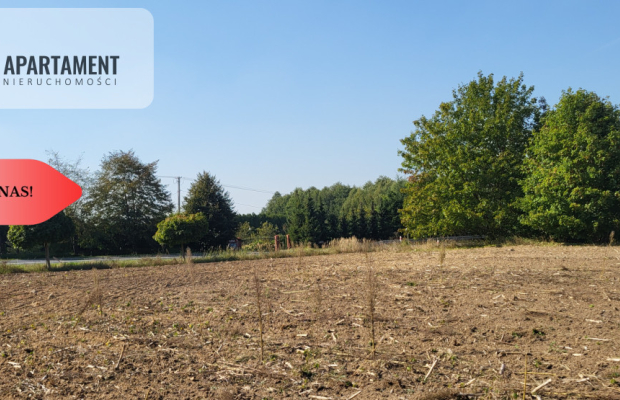 Działki z projektem WZ