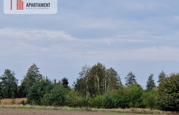 Działka budowlana z wydanymi WZ na 2 domy