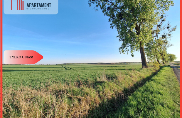 Działka w atrakcyjnej cenie