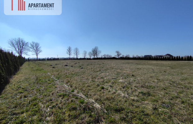 Działka z dużym potencjałem! Warunki zabudowy!