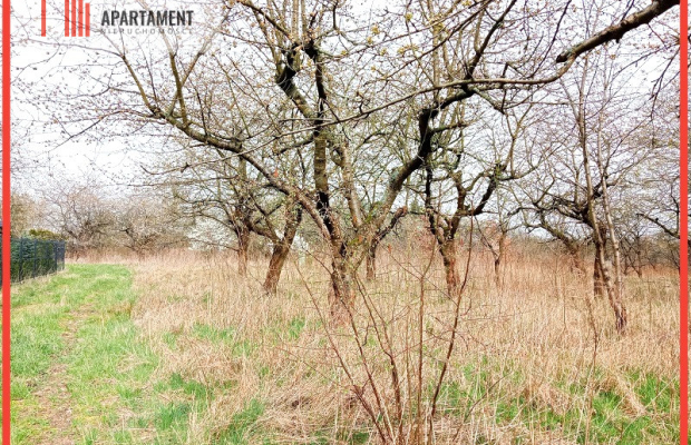 Malownicza działka wsród drzew!!!