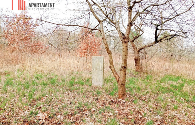 Malownicza działka wsród drzew!!!