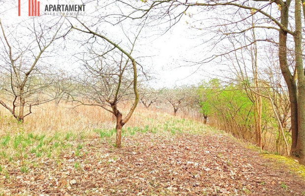 Malownicza działka wsród drzew!!!