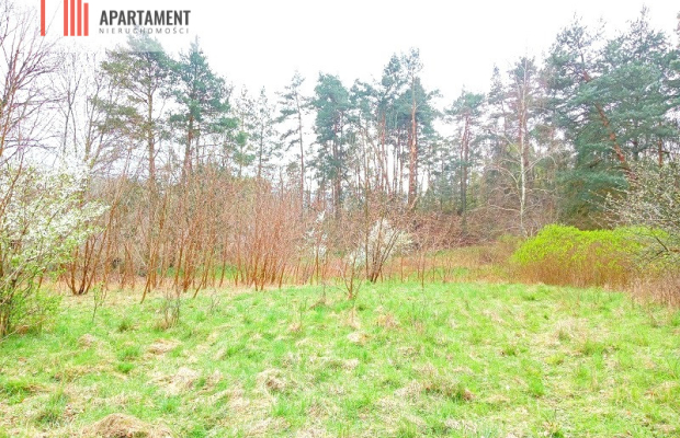 Malownicza działka wsród drzew!!!