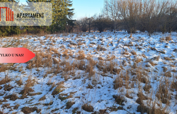 Działka z WZ dla inwestora