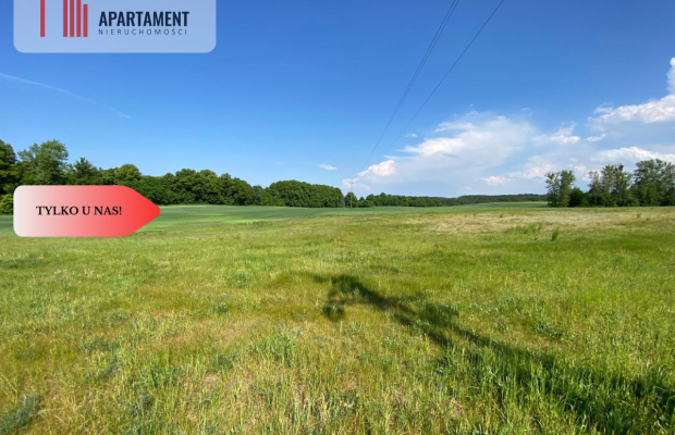Działki z warunkami zabudowy. Tylko u nas!