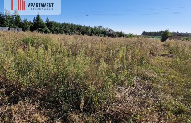 Działka z pozwoleniem na budowę blisko lasu